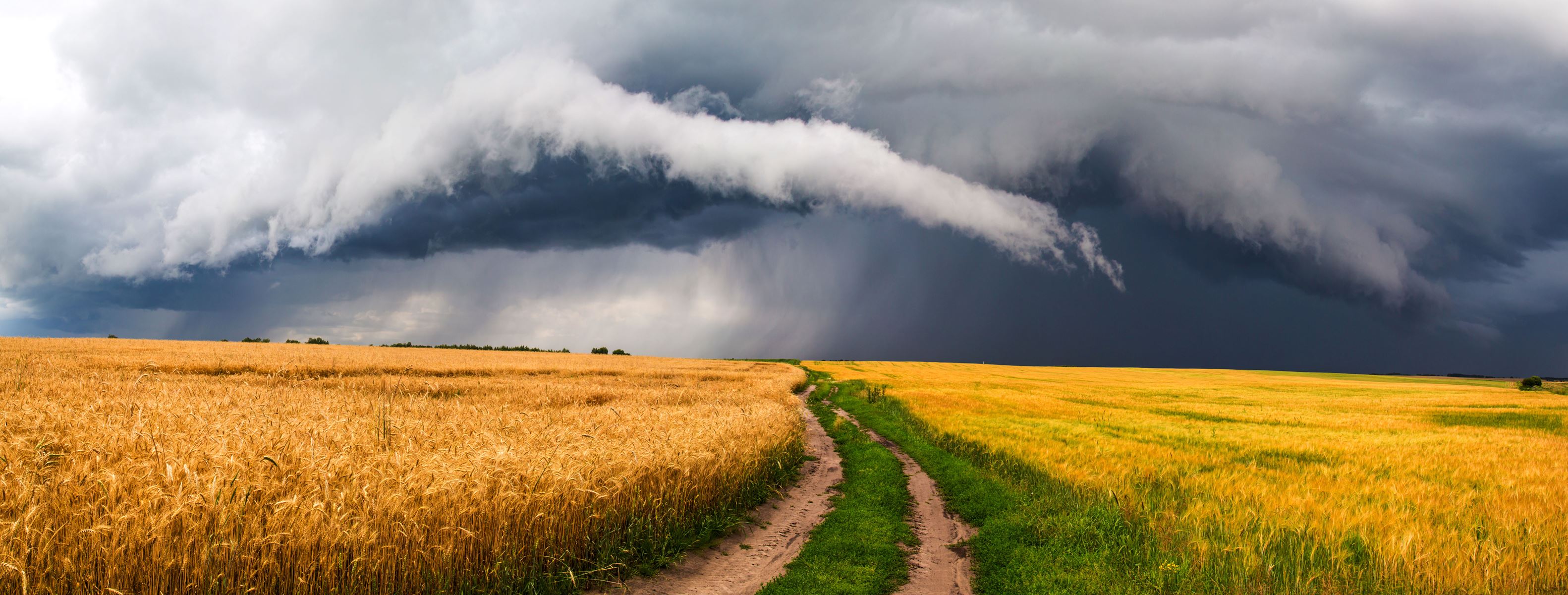 stormy sky over a dirt road between wheat fields